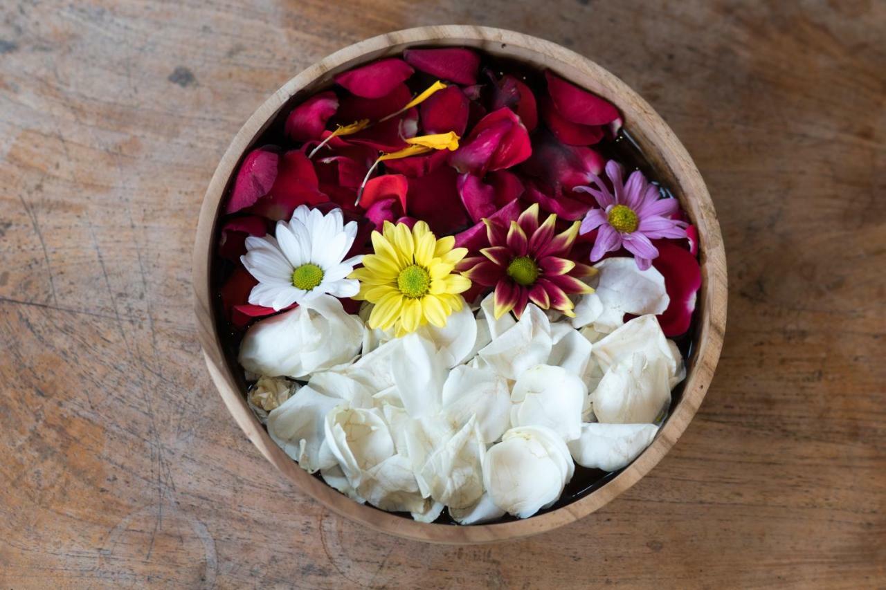 Ari Cottages Ubud 外观 照片